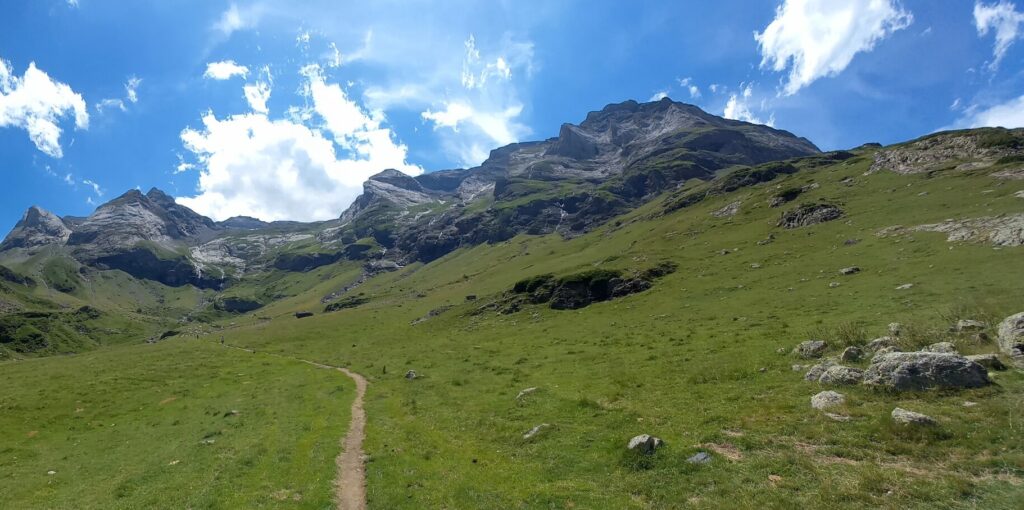 pour qui ? pour quoi ? trouver son chemin unique